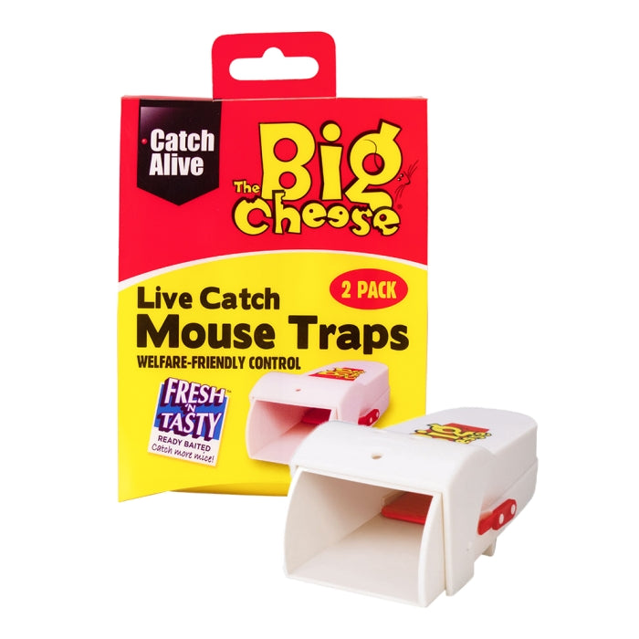 Mouse Trap