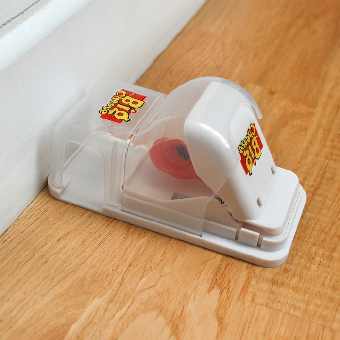 Mouse Trap