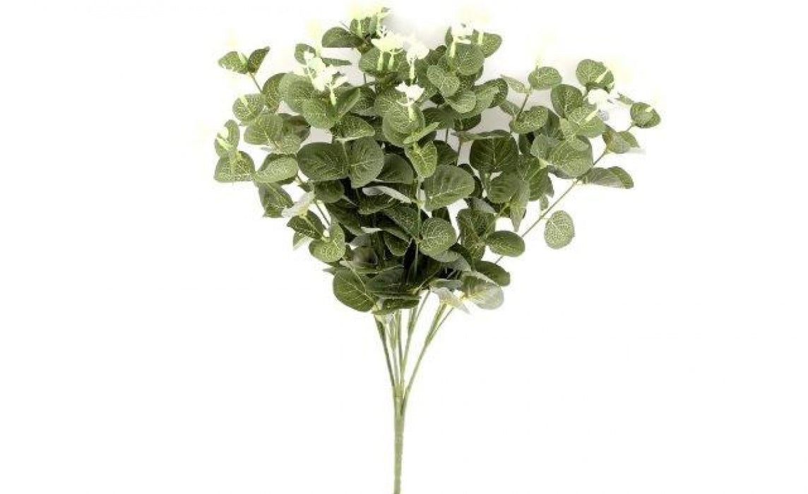 Eucalyptus Bush