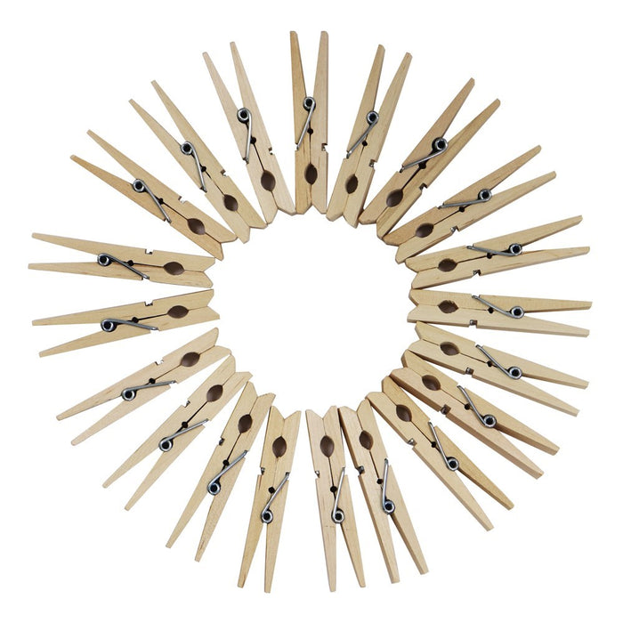 Wooden Pegs 102pc
