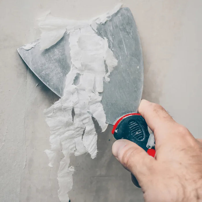 Professional Scraper 6"