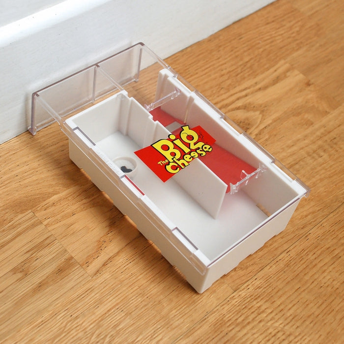 Mouse Trap
