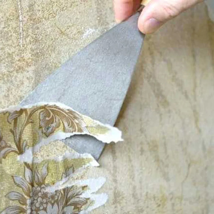 Professional Scraper 2"