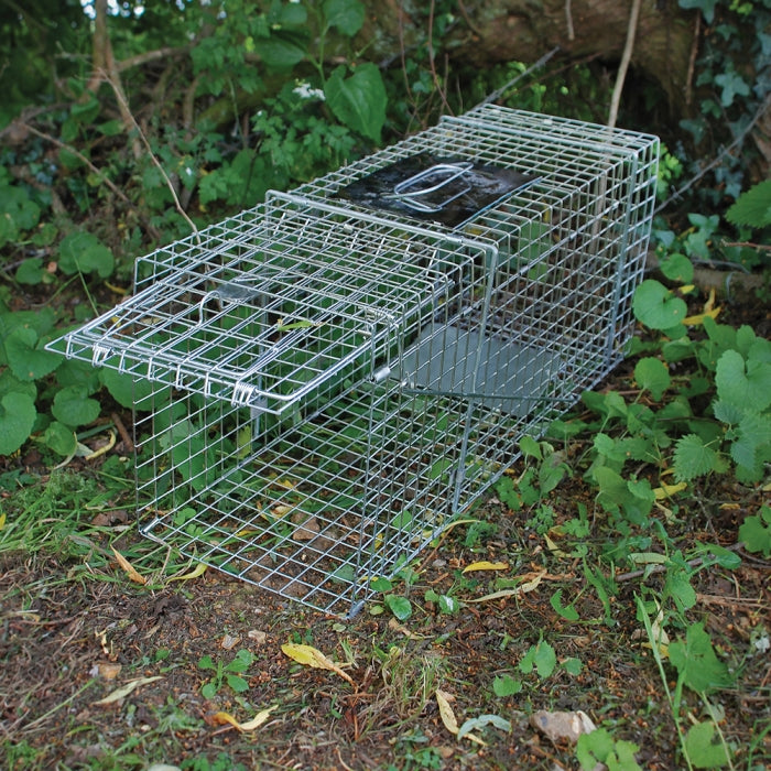 Animal Trap
