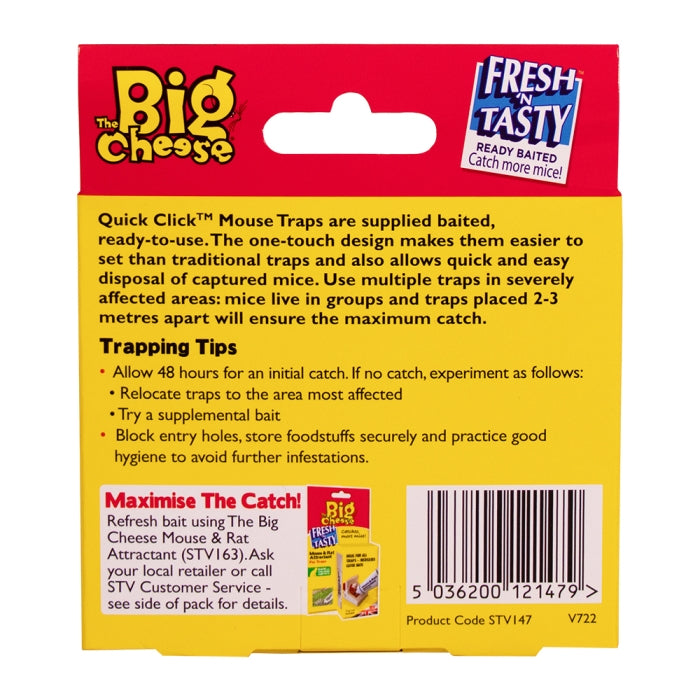 Mouse Traps
