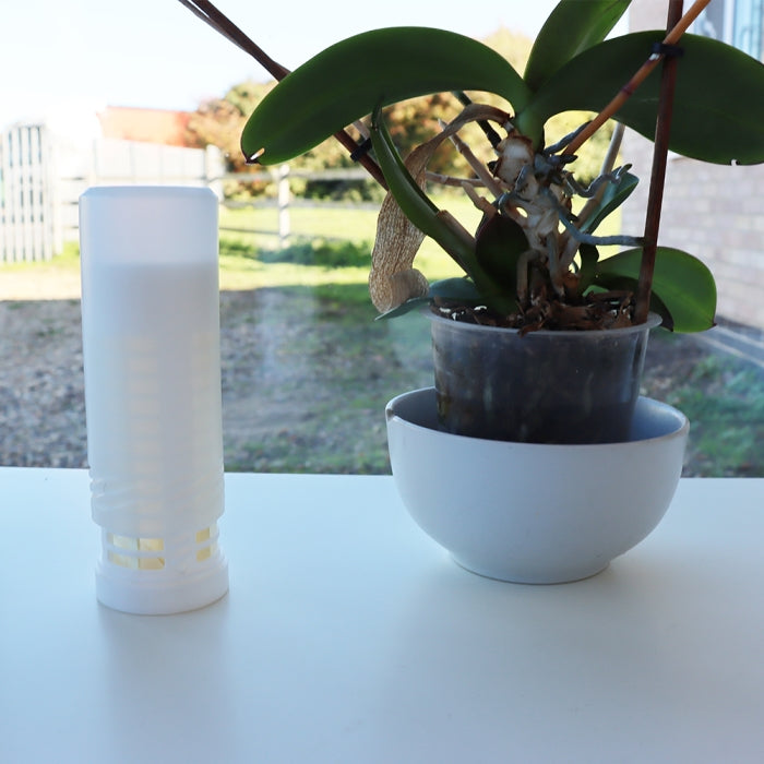 Citronella Diffuser