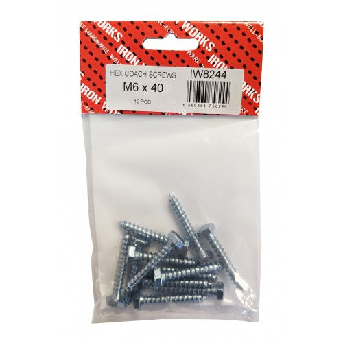 Coach Screws M6 X 40