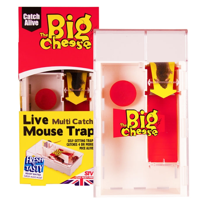 Mouse Trap