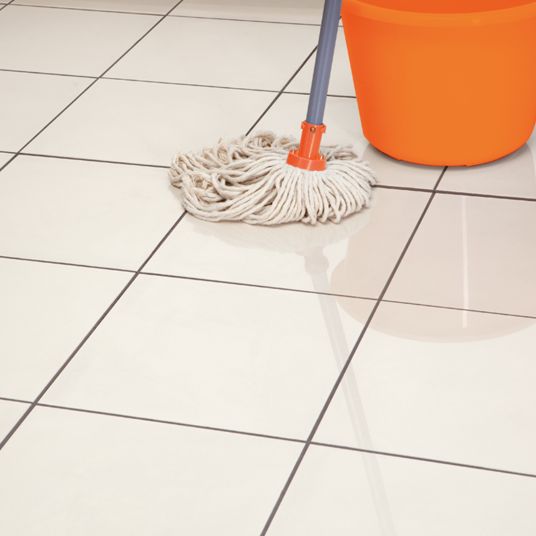 Shine Restoring Tile Cleaner