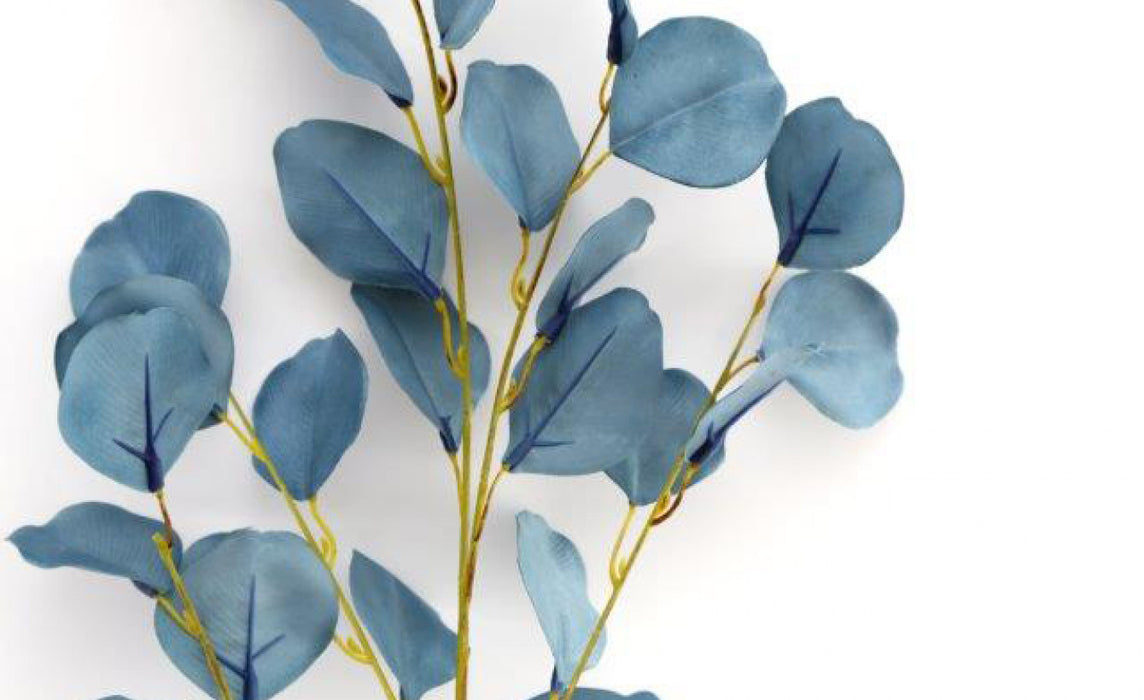 Eucalyptus Spray