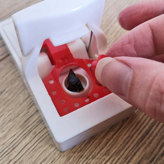 Mouse Trap