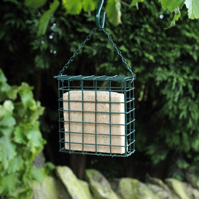Suet Cake Bird Feeder