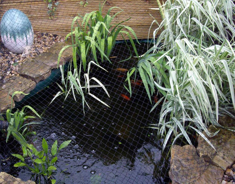 Pond Protection Net