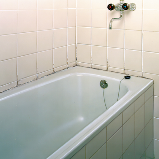 Mould Spray