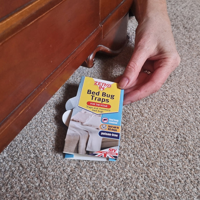 Bed Bug Trap