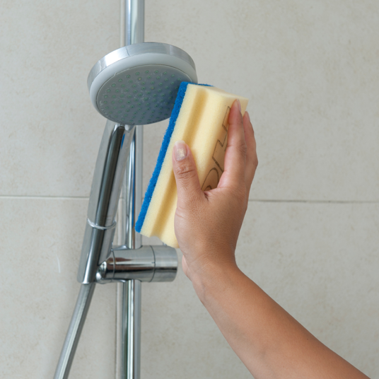 Professional Limescale Remover