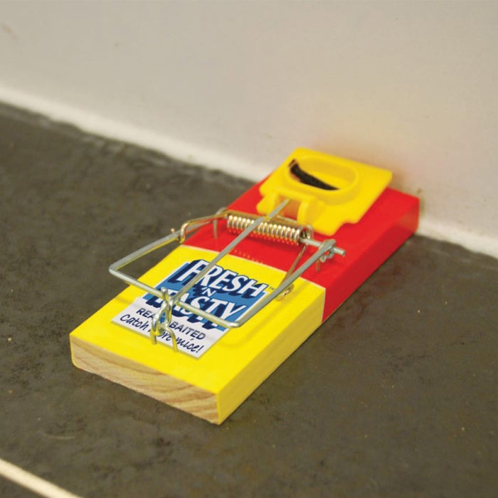 Mouse Trap