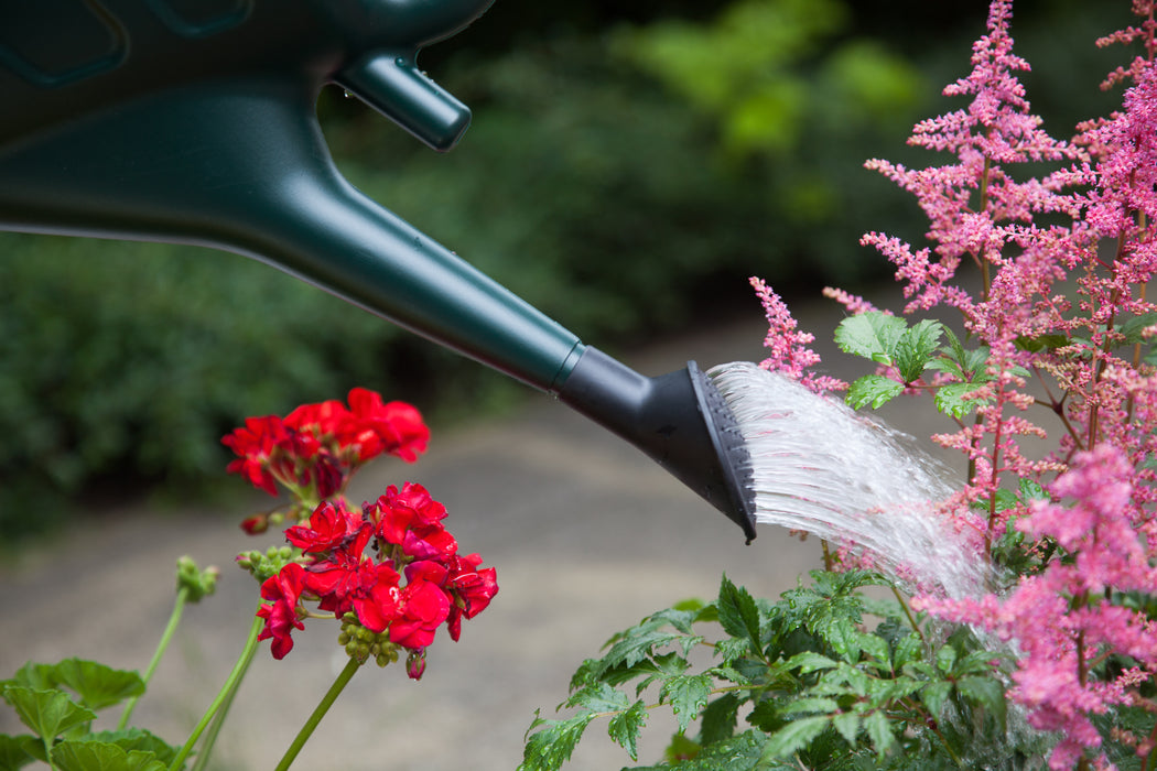 Watering Can 6L