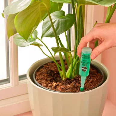 Miracle-Gro® Drip & Feed All Purpose