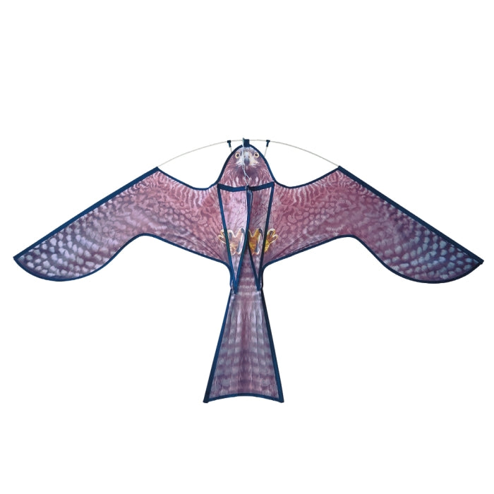 Hawk Kite Bird Scarer