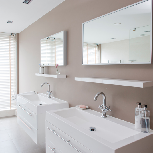 Professional Limescale Remover