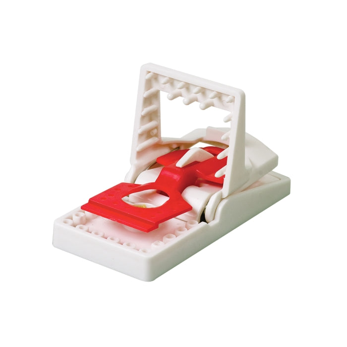 Mouse Trap