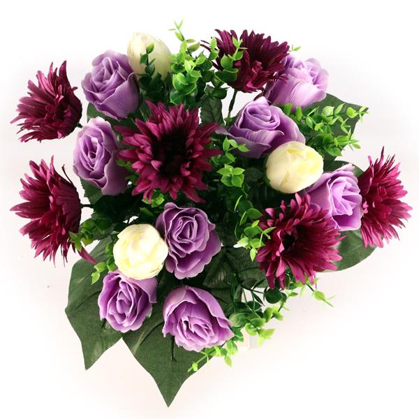 Gerbera Rose Bush Purple