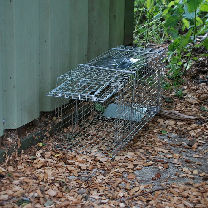 Animal Trap