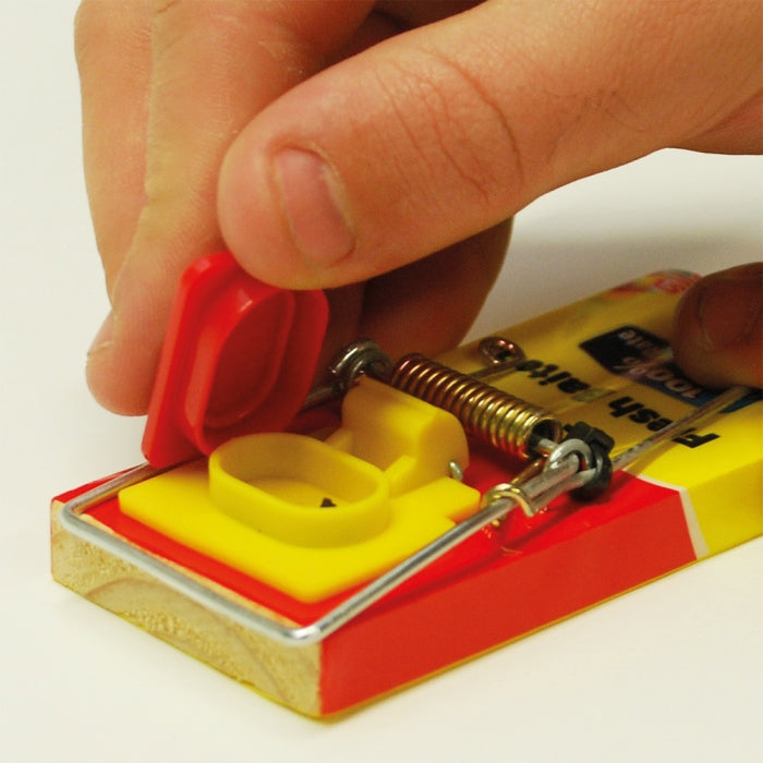 Mouse Trap