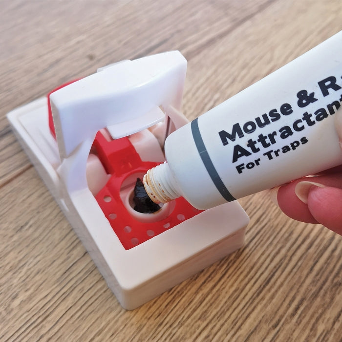 Mouse Trap