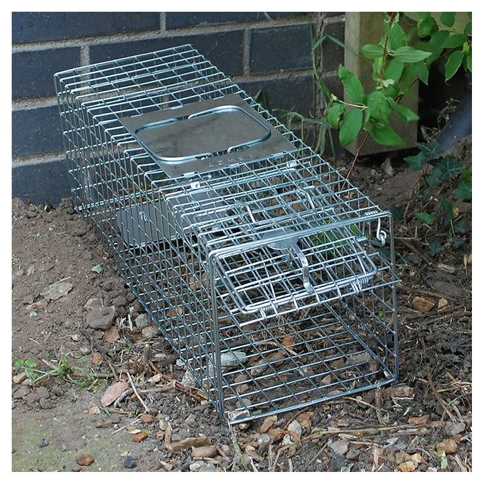 Animal Trap