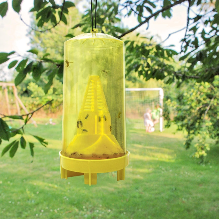 Wasp Bait