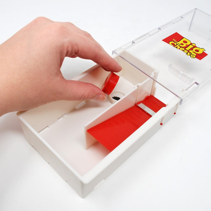 Mouse Trap