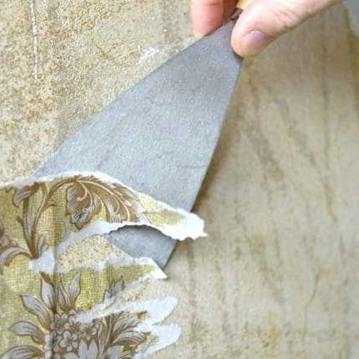 Professional Scraper 4"