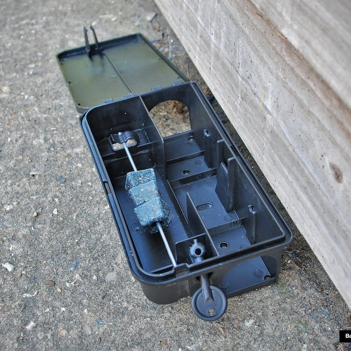 Bait Station