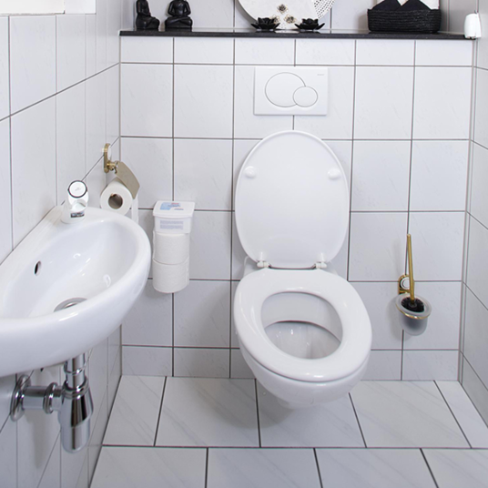 Sanitary Area Cleaner
