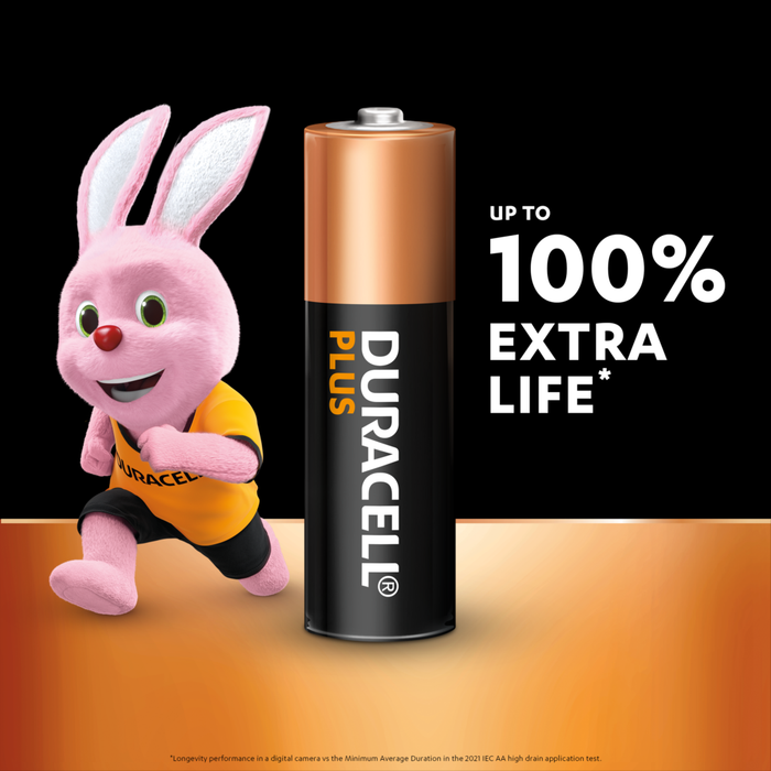 Duracell Plus AA