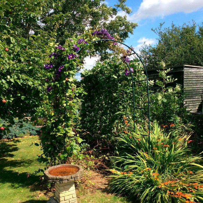 Metal Garden Arch