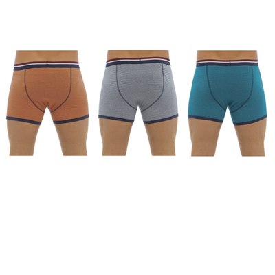 Mens Trunks