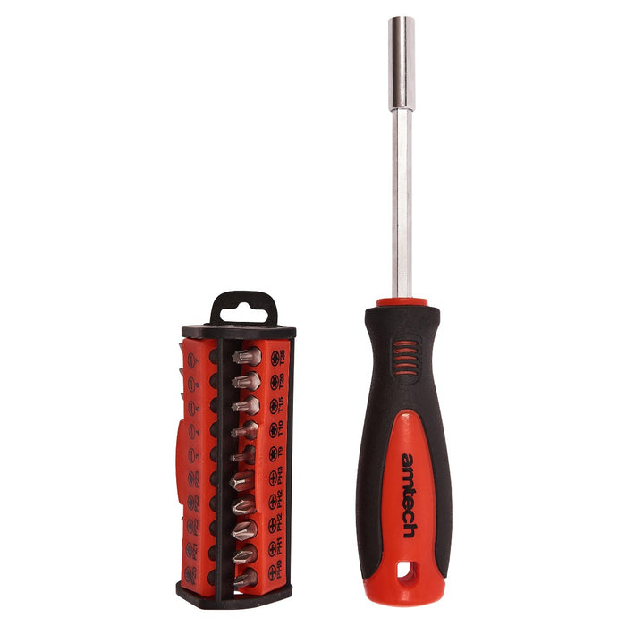 Screwdriver & Bit Set 31pc