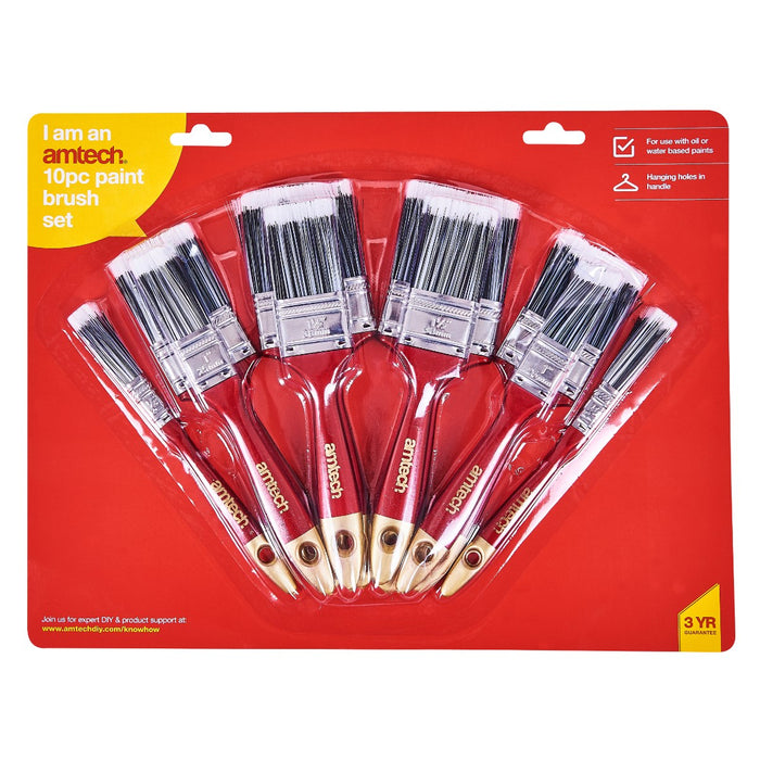 Paint Brushs 10pc