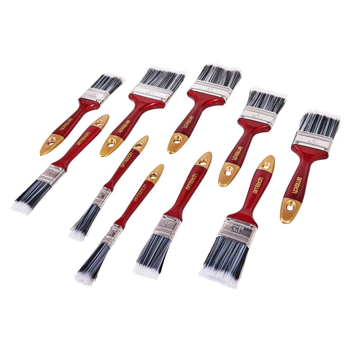 Paint Brushs 10pc