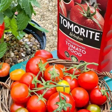 Tomorite Concentrated Tomato Food 1L + 20%
