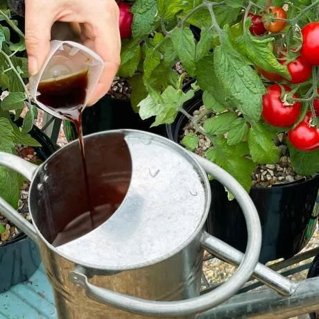 Tomorite Concentrated Tomato Food 1L + 20%