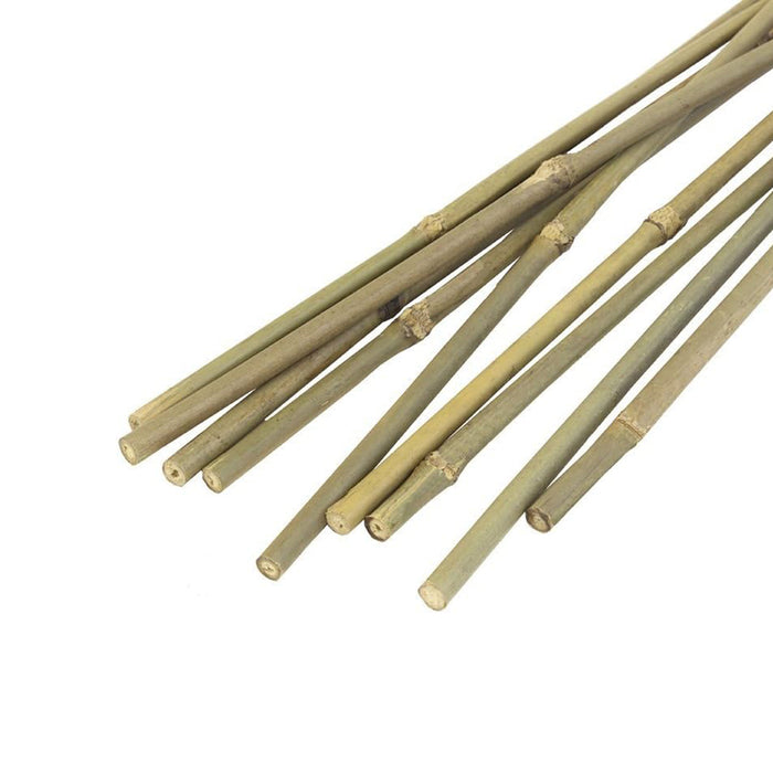 Bamboo Canes 6ft