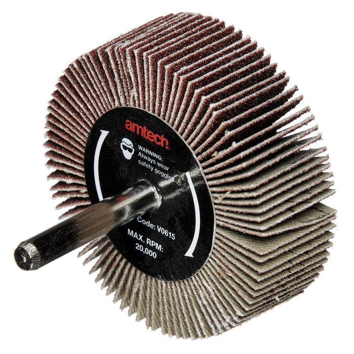 Flap Wheel 60 X 20 X 6 mm