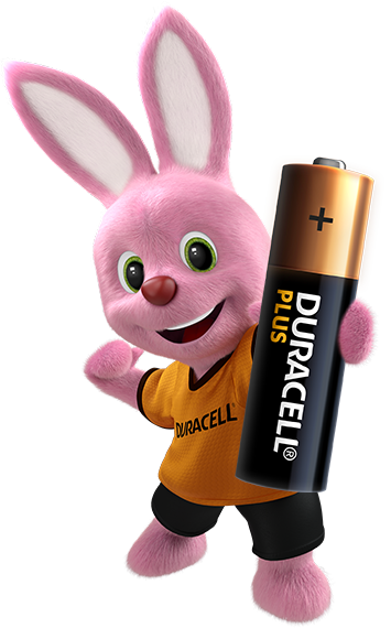 Duracell Plus AA