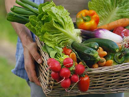 BugClear Fruit & Veg Ultra