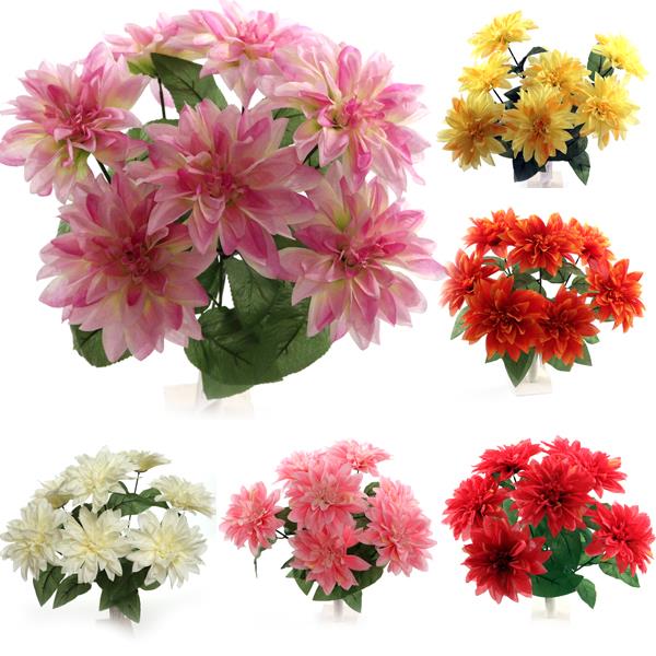 Dahlia Bush X 7