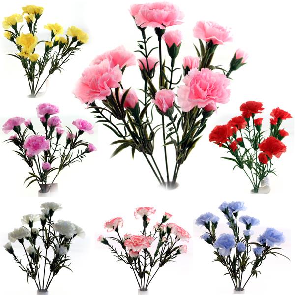 Carnation Bush
